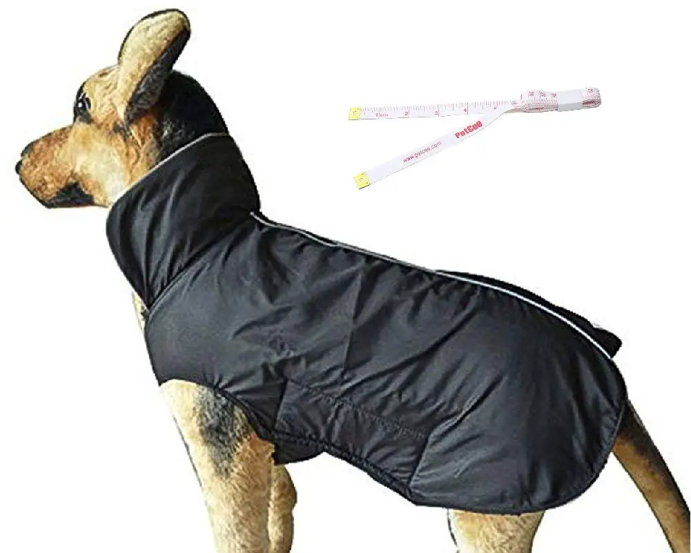 10 Best Waterproof Dog Coats Reviewed in 2024 TheGearHunt