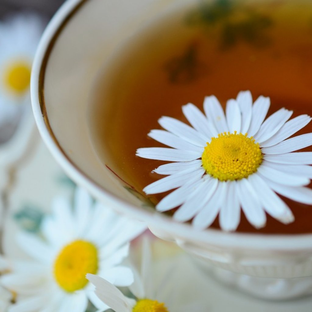 Chamomile