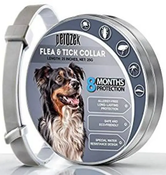 10 Best Dog Flea Collars Reviewed in 2022 TheGearHunt