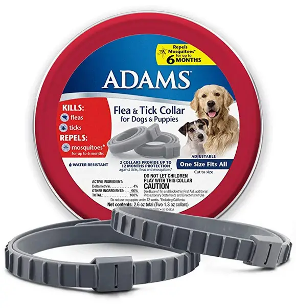 10 Best Dog Flea Collars Reviewed in 2024 | TheGearHunt