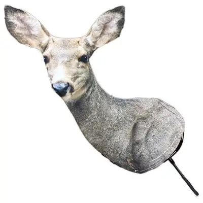 Mule Deer Doe Decoy