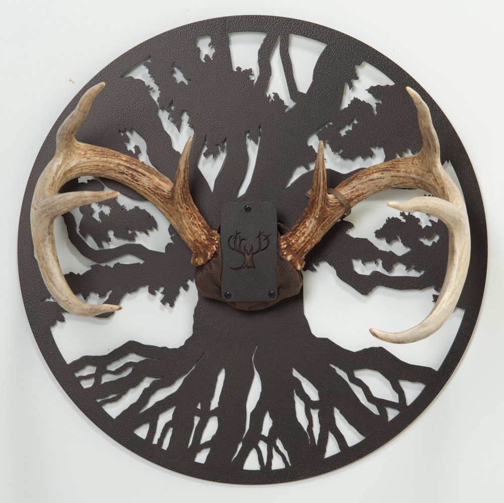 10 Best Antler Mounting Kits Reviewed In 2024 TheGearHunt   Strutt 