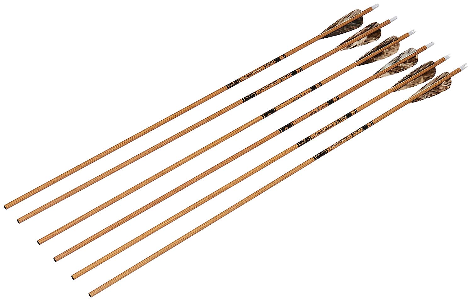 Best Gold Tip Arrows & Bolts Reviewed in 2024 TheGearHunt