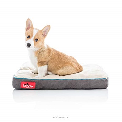 Brindle Soft Memory Foam Dog Bed