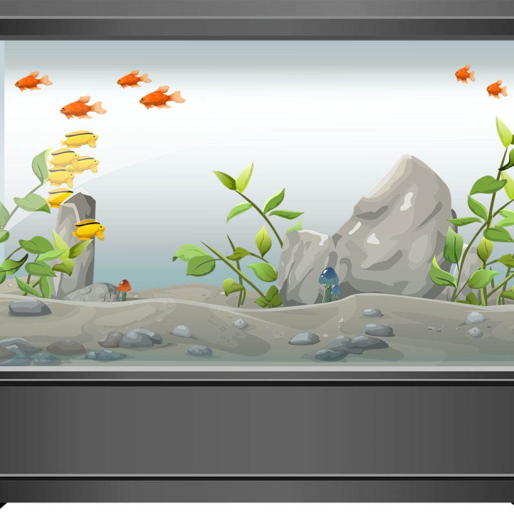 Fish-Tank