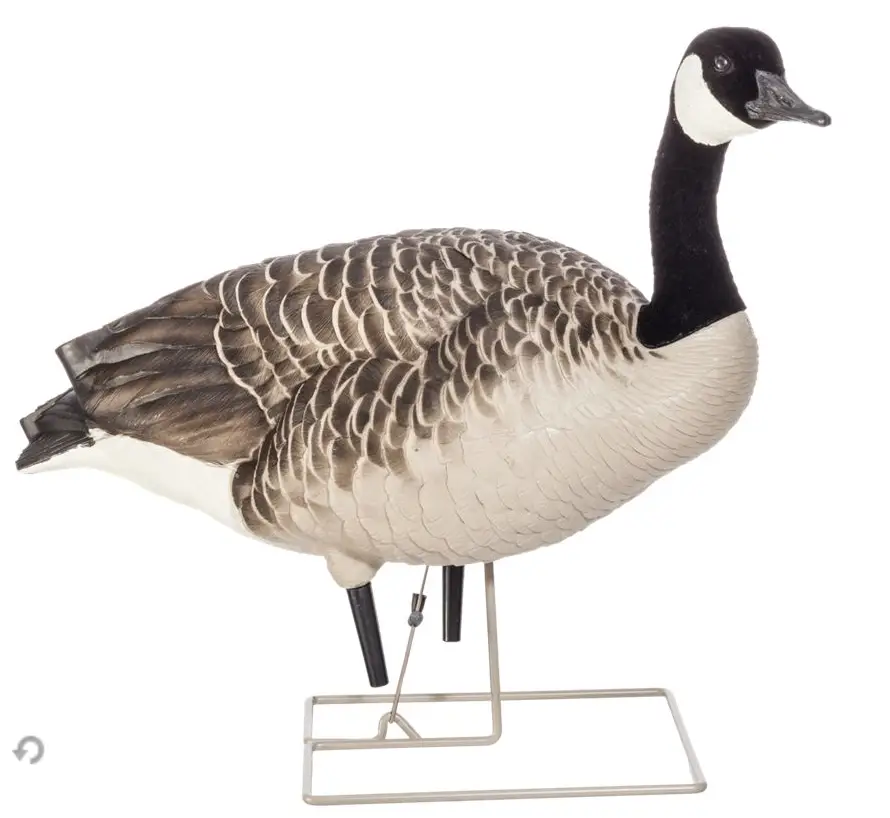 10 Best Goose Decoys Reviewed In 2022 | TheGearHunt