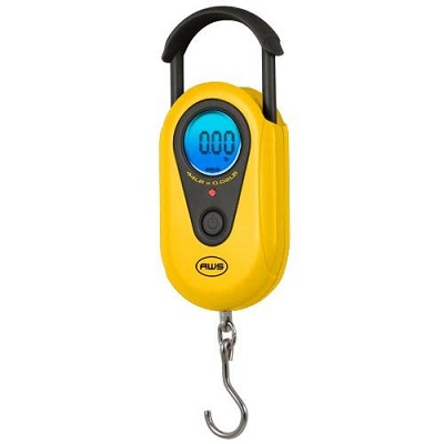 American Weigh Scale Digital Multifunction High Precision Electronic Hanging  Luggage, Fishing, Hunting Scale 110lb Capacity : Target