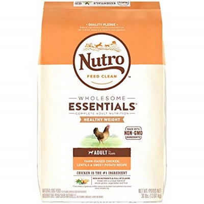 Nutro Wholesome Essentials