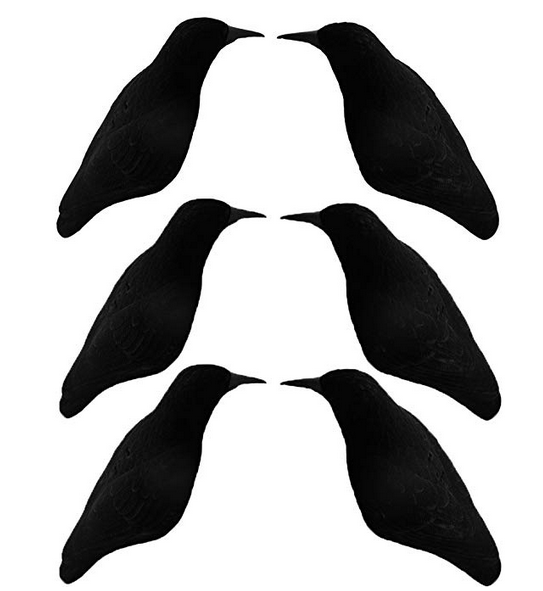 10 Best Crow Decoys Reviewed in 2024 TheGearHunt