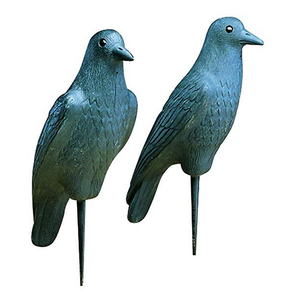 10 Best Crow Decoys Reviewed in 2024 TheGearHunt