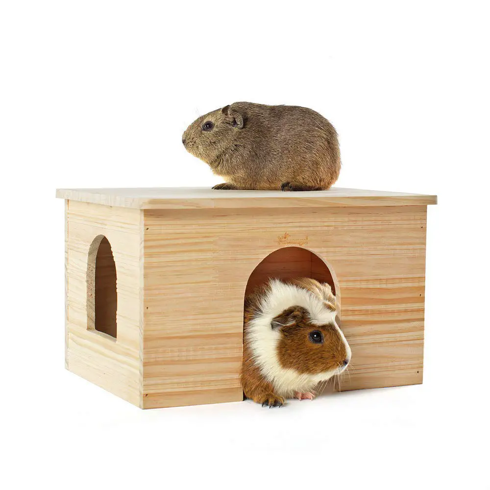 10 Best Guinea Pigs Hideouts Reviewed in 2024 TheGearHunt