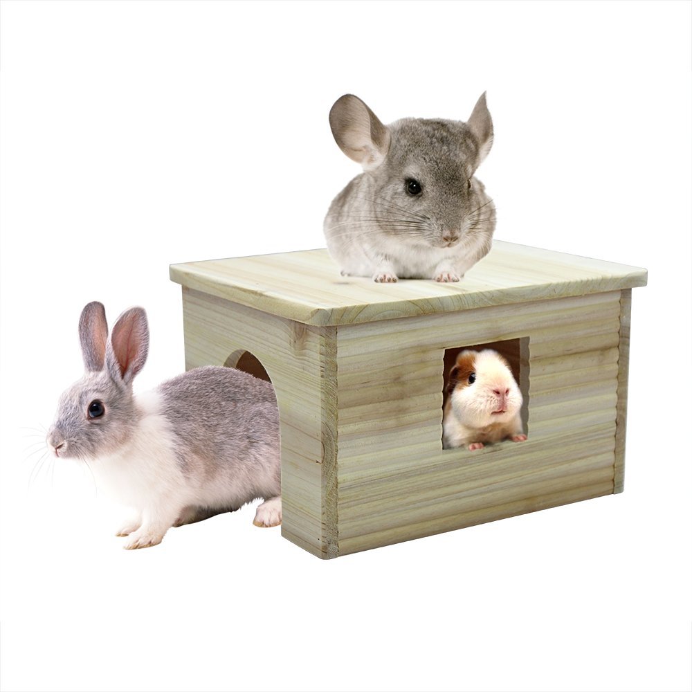 10 Best Guinea Pigs Hideouts Reviewed in 2024 TheGearHunt