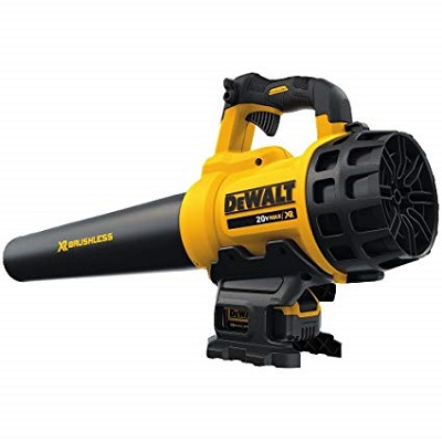 DEWALT DCBL720P1 20V