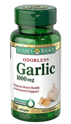 10 Best Garlic Supplements Reviewed In 2024 | TheGearHunt