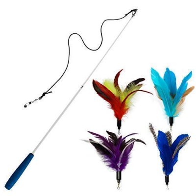 EcoCity Feather Cat Teaser; Best Cat Toys