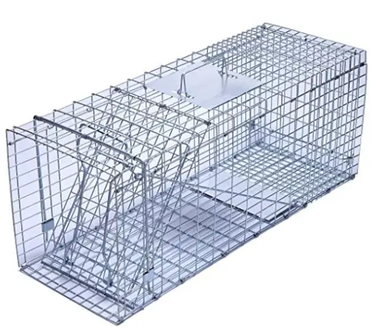 10 Best Dog Proof Traps Reviewed in 2022 | TheGearHunt