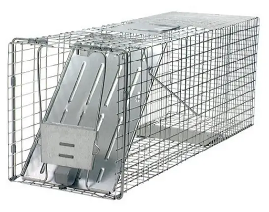 10 Best Dog Proof Traps Reviewed in 2022 | TheGearHunt