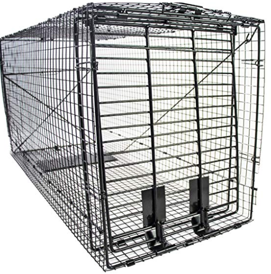 10 Best Dog Proof Traps Reviewed in 2022 TheGearHunt