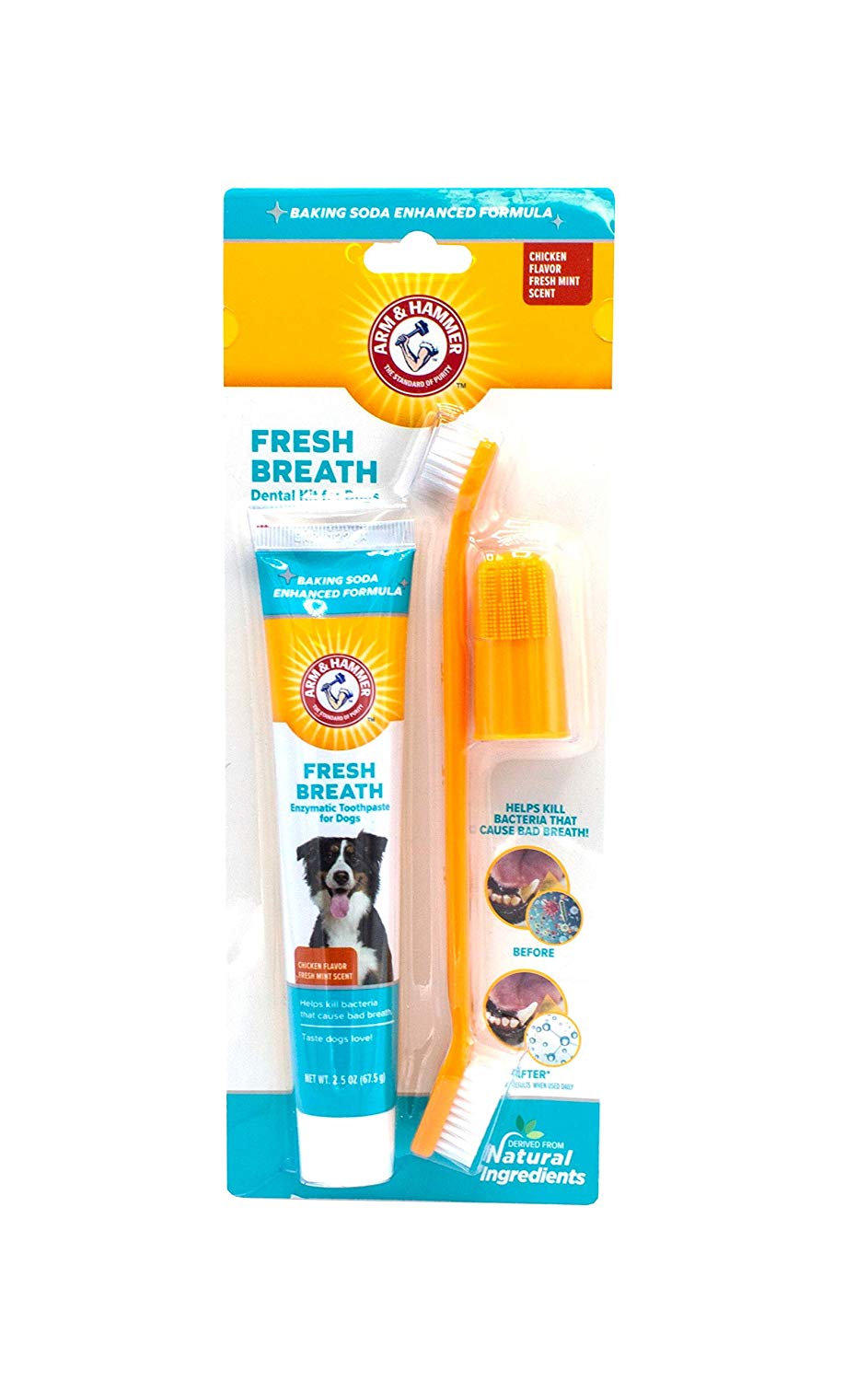 10 Best Dog Toothpastes Reviewed in 2024 TheGearHunt