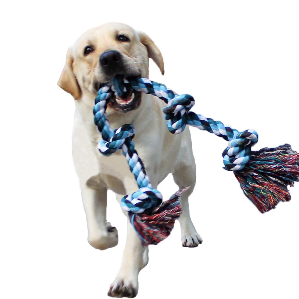 10 Best Dog Rope Toys Reviewed in 2024 | TheGearHunt