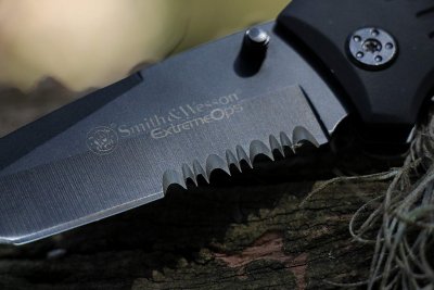 Smith & Wesson SWFR2S