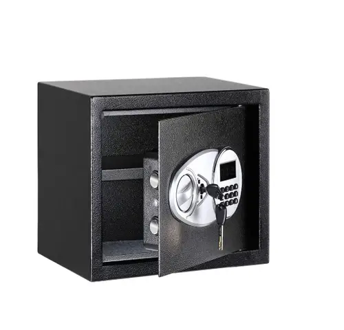 AmazonBasics Security Safe Box