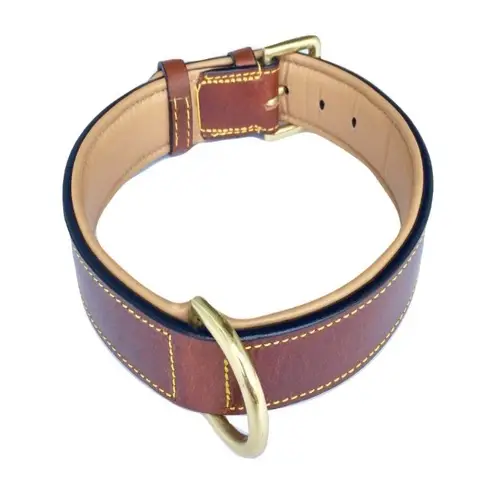 Best Leather Dog Collars Reviewed & Rated in 2022 | TheGearHunt