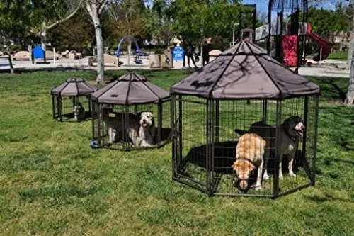 Advantek Pet Gazebo