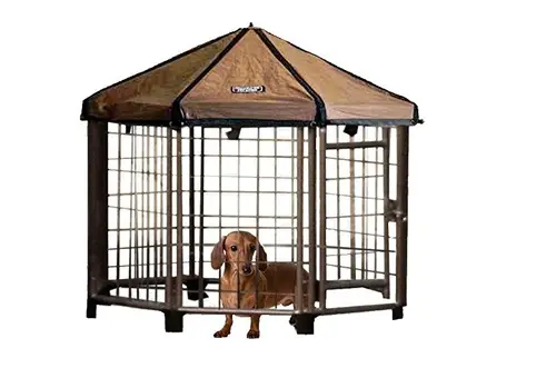 Advantek Pet Gazebo