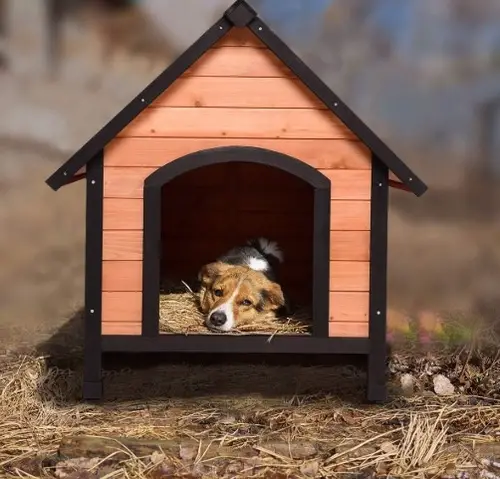 Tangkula Dog House