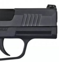 Sig P365 Rail