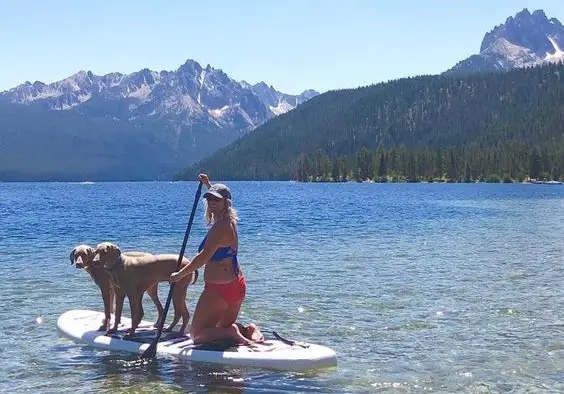 Lady and two dogs on ROC Inflatable SUP