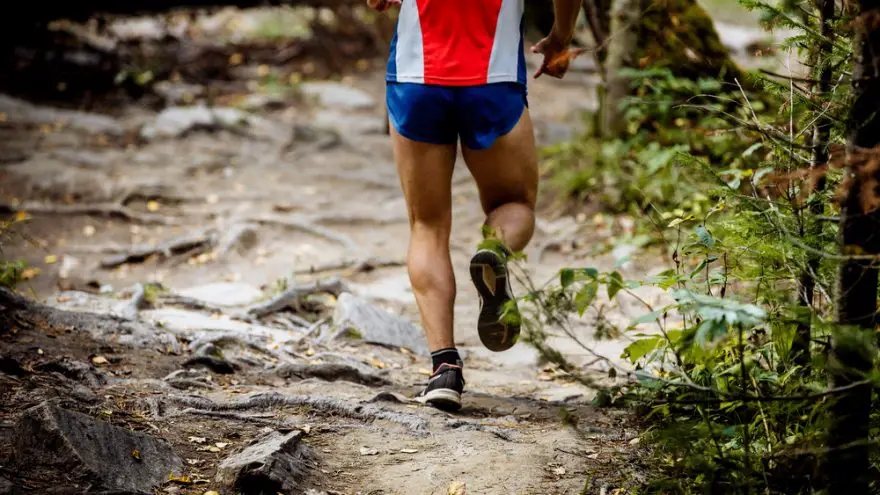 Exercises to Get You in Shape for Your Next Hunting Trip Exercises to Get You in Shape for Your Next Hunting Trip