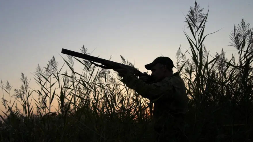 Hunting Regulations 101 Hunting Regulations 101