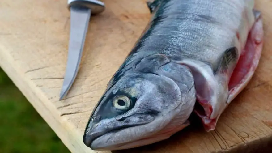 How to Clean Fish: The Complete Guide An in depth review on how to clean a fish in 2018