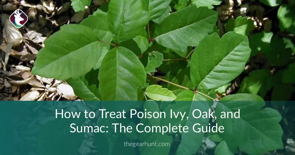 How To Treat Poison Ivy, Oak, And Sumac: The Complete Guide