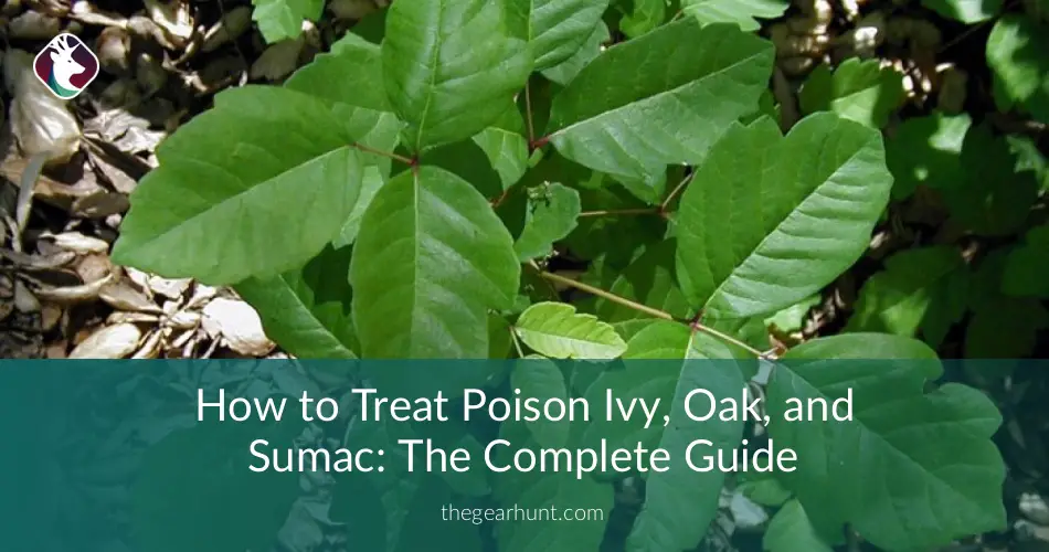 How to Treat Poison Ivy, Oak, and Sumac: The Complete Guide