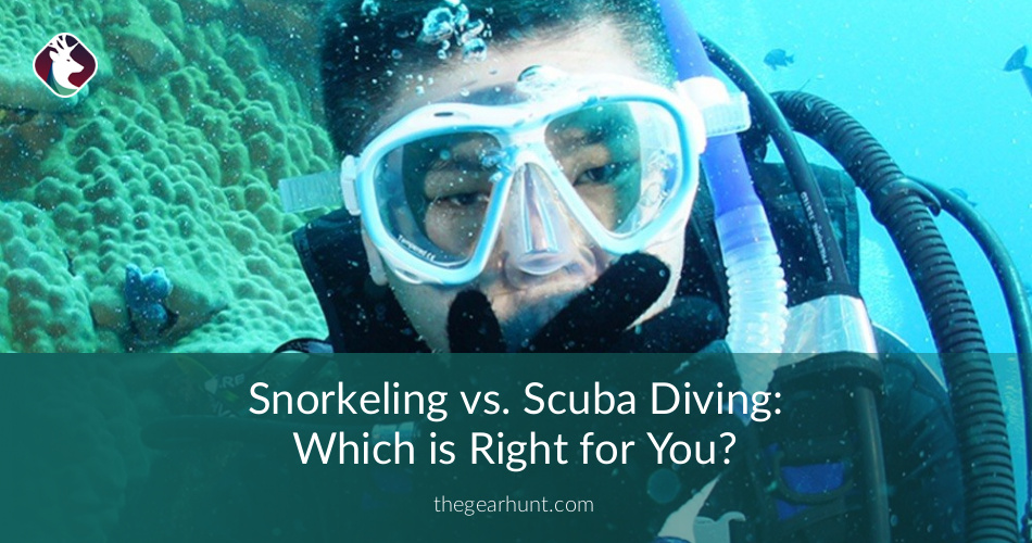 Snorkeling vs. Scuba Diving Which is Right for You? TheGearHunt
