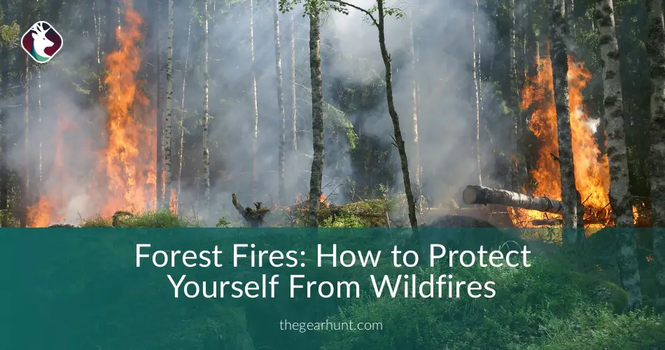 Forest Fires: How to Protect Yourself From Wildfires - TheGearHunt