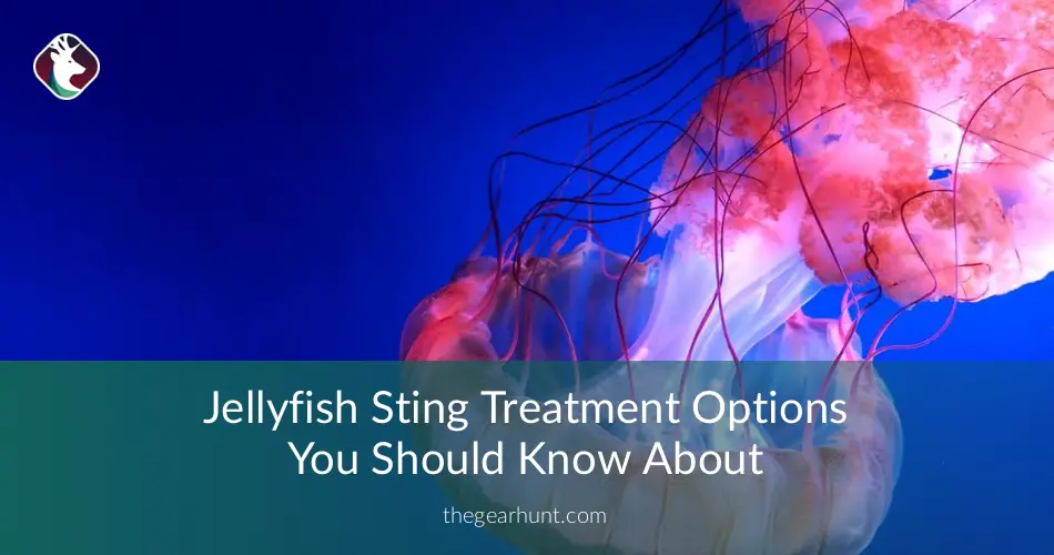 Jellyfish Sting Treatment Options You Should Know About ...