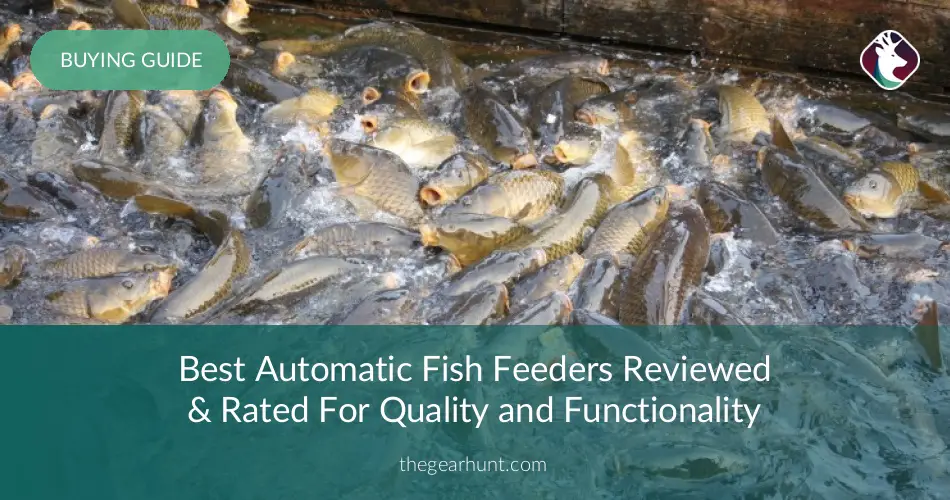 10 Best Automatic Fish Feeders Reviewed In 2020 Thegearhunt