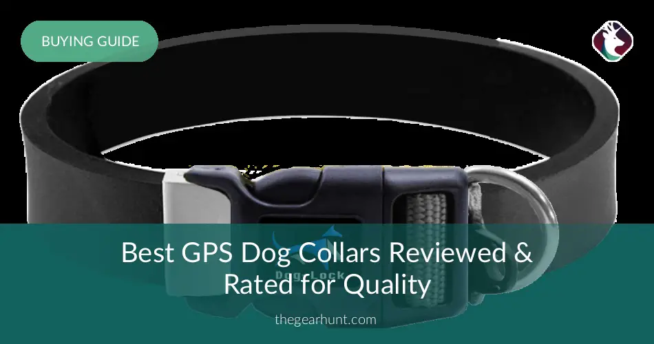 Best GPS Dog Collars Reviewed and Rated in 2017 TheGearHunt