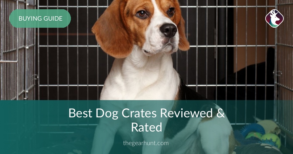 10 Best Dog Crates Reviewed & Rated in 2019 TheGearHunt