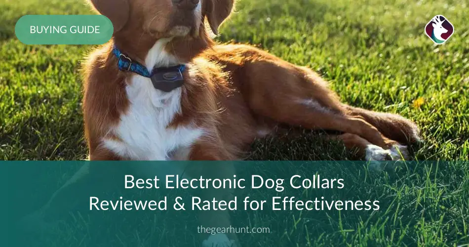 10 Best Electronic Dog Collars Reviewed &amp; Rated in 2018 ...