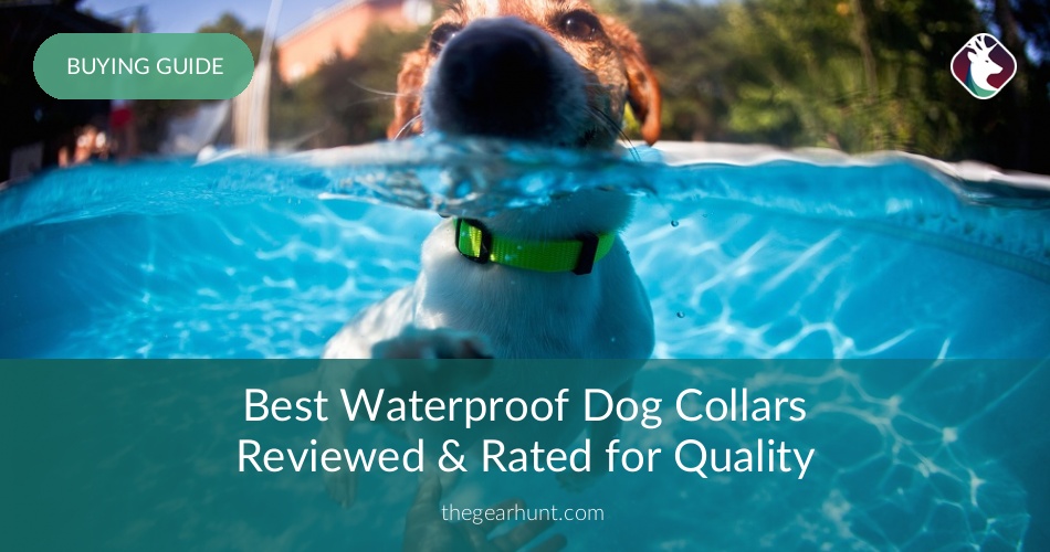 15 Best Waterproof Dog Collars Reviewed & Rated in 2018 NicerShoes