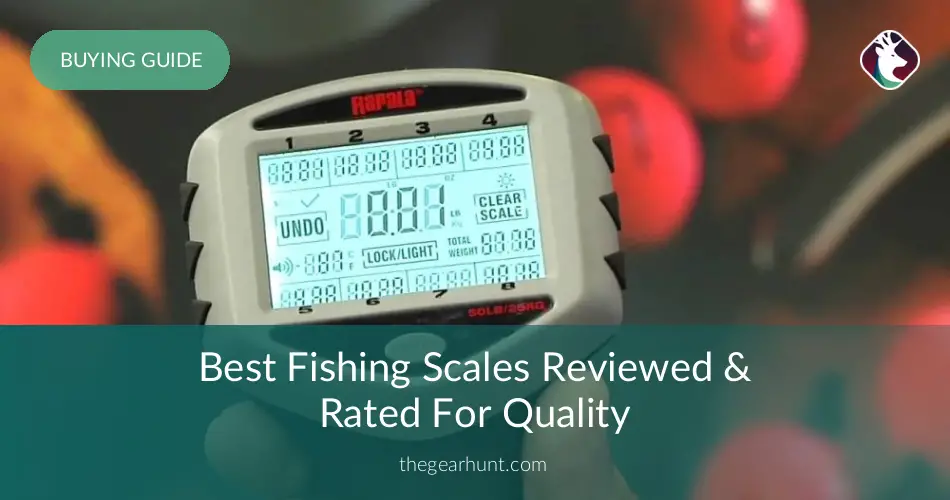 10 Best Fishing Scales Reviewed & Rated In 2019 | TheGearHunt