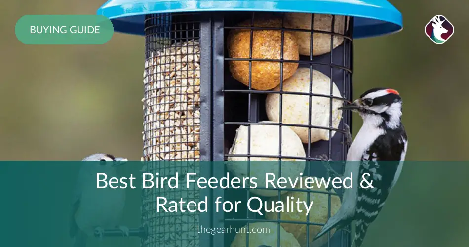 10 Best Bird Feeders Reviewed Rated In 2020 Thegearhunt