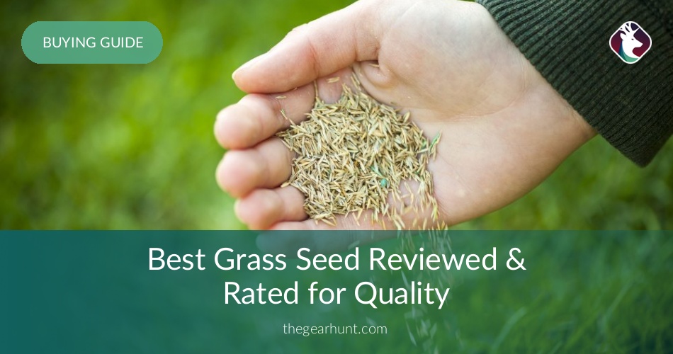 10 Best Grass Seeds Reviewed & Tested in 2019 TheGearHunt