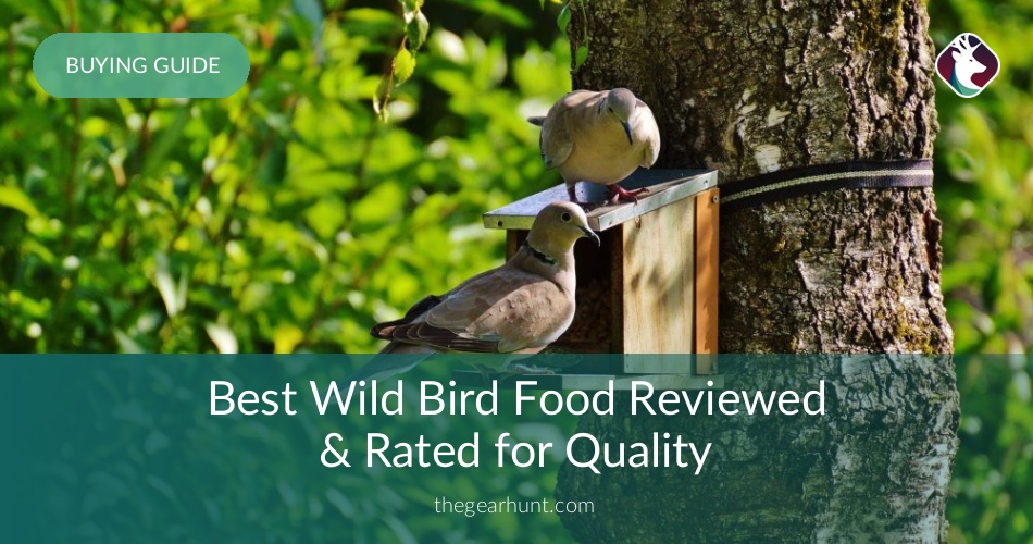 10 Best Wild Bird Food Reviewed & Rated in 2018 TheGearHunt