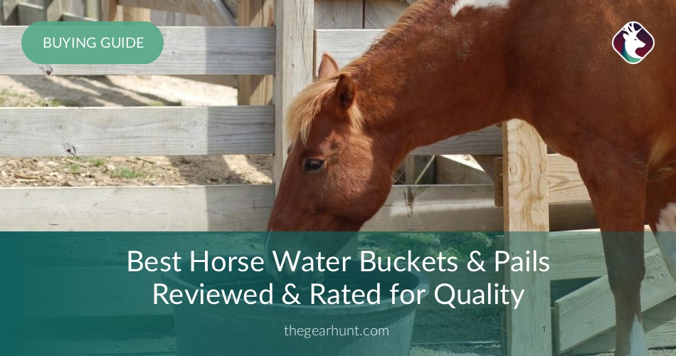 10 Best Horse Water Buckets & Pails Reviewed in 2019 TheGearHunt